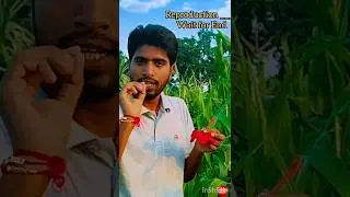 Flower me Reproduction 🥰😍#shorts #trending #ytshorts #biology