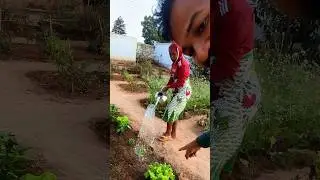 Home garden - Madagascar