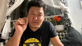 Weekly updates 2