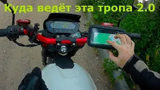 На электробайке по загородной трассе в густой лес!#ЛёхаЛис