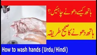 How to wash hands properly to kill all germs | Hand washing technique | Coronavirus