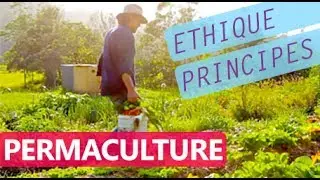 Permaculture, éthique et principes