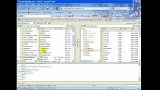 FireFTP Tutorial