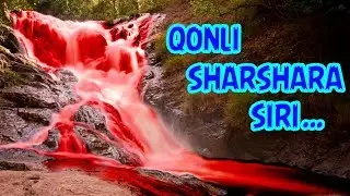 QONLI SHARSHARANING SIRI NIMADA??? | КОНЛИ ШАРШАРАНИНГ СИРИ НИМАДА???