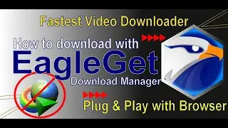 Eagleget downloader alternative IDM downloader