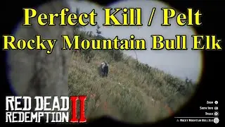 RDR2 Rocky Mountain Bull Elk. How to get a Perfect Kill / Pelt?