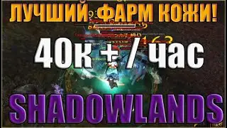 ТОП ФАРМ ГОЛДЫ SHADOWLANDS, ЛУЧШИЙ ФАРМ КОЖИ!45К + В ЧАС![Нерф]