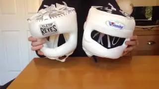 Cleto Reyes vs Winning FG-5000 Full Face Head Guard Comparison Review