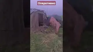 Рыбалка 