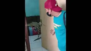 Kaum Rebahan