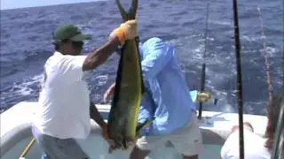 Angler Dude