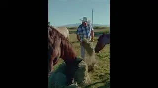 Spring Ranch Life - Kemimoto