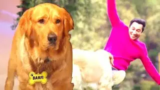 Barfi Edit 🐶💕 | Harsh Beniwal | Siddharth Editzz | 
