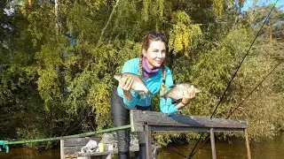 ДУШЕВНАЯ РЫБАЛКА С НОЧЕВКОЙ в палатке, на острове! Ловлю лещей на донку! Часть 1.