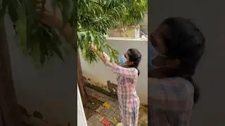 Baby photography in #tirunelveli #youtubeshorts #shortsvideo #newbornphotography #youtuber #bts