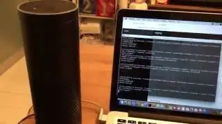 Develop smart home with Raspberry Pi and Amazon Echo