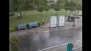 Молния поразила четверых наповал!