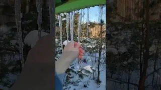 Счастье в мелочах/ Слова со смыслом