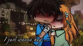 // I just wanted hug // Stelex minecraft