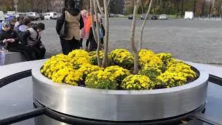 Харьков. Сад Шевченко. 22 октября 2021 г.