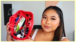 LOUIS VUITTON HANDBAG ORGANIZER + GIVEAWAY (CLOSED) | SIRNATHAN