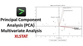 Principal Component Analysis (PCA) | Multivariate Analysis | XLSTAT
