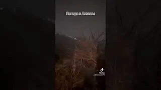 Погода в Алматы  