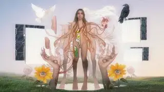 THE CREATOR