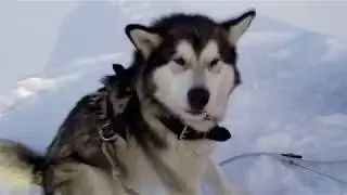 рыбалка на Селигере ЗИМОЙ