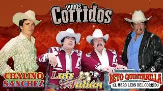 Las 30 Sus Mejores Éxitos Canciones de Beto Quintanilla - Luis & Julian vs Chalino SAnchez