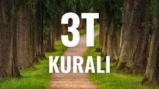 3T KURALI: TEMRİN, TEKELLÜF, TEKLİF