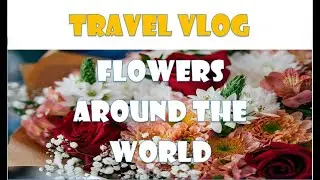 BEAUTIFUL FLOWERS AROUND THE WORLD