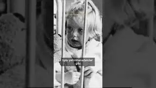 Bebekler de Depresyona Girer | Rene Spitz Deneyi