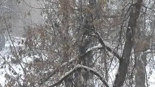 Такого снегопада давно не помнят здешние места....