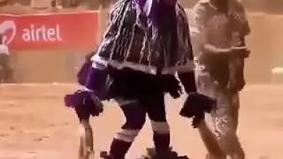 Танец райской птички