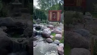 A Moment To Relax 
