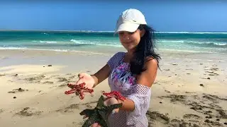 Music for soul / Low tide of ocean