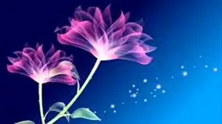 Sanda kinithi nemee...(සඳ කිනිති නැමී විල් දියට එබී සොයයි සේයාව සඳේ..)Lakshman Wijesekara
