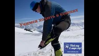 Как правильно ходить в кошках