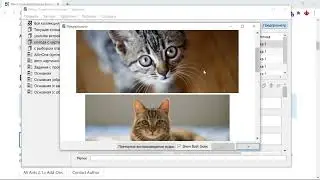 [2021] Anki tutorial: How to automatically add pictures to Anki cards using an add-on/plugin