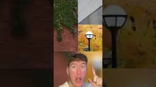 PICTURES YOU WON’T BELIEVE ARE REAL