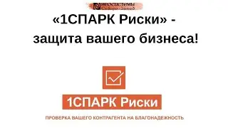 №13. «1СПАРК Риски» - защита вашего бизнеса!»