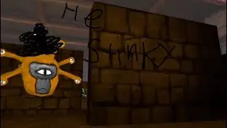 The new update