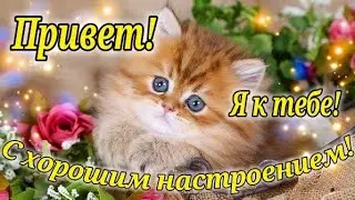 ПРИВЕТ ! УЛЫБНИСЬ СКОРЕЕ ! ОЧЕНЬ МИЛОЕ ПОЖЕЛАНИЯ ЗАМЕЧАТЕЛЬНОМУ ЧЕЛОВЕКУ !