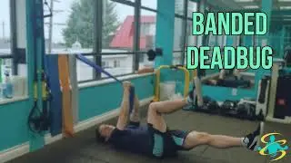 Banded Deadbug  - Rejuv Exercise Library - #medicalfitness