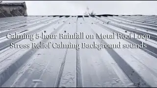 Calming 5-hour Rainfall on Metal Roof Loop | Stress Relief Calming Background sounds