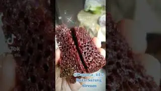 Menerima aneka pesanan Bolu area bogor dan sekitarnya #ResellerWelcome
