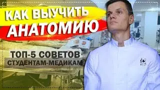 КАК ВЫУЧИТЬ АНАТОМИЮ / СОВЕТЫ СТУДЕНТАМ - МЕДИКАМ