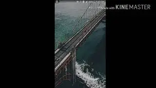 How to auto like on facebook