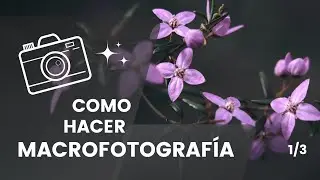 ★COMO HACER MACROFOTOGRAFÍA 1/3 // Curso de Fotografía Digital★